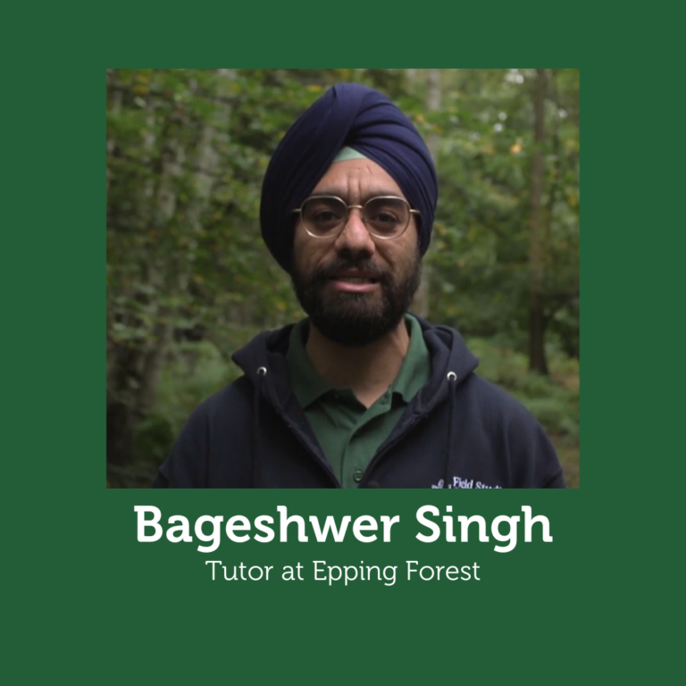Bageshwer Singh photo