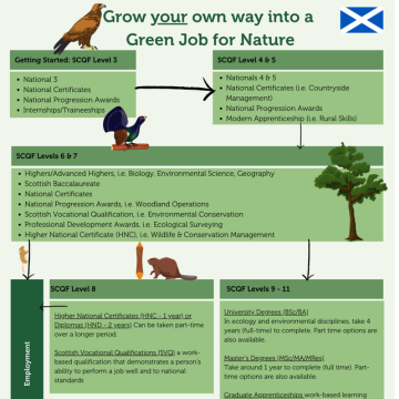 Scotland Career Ladder